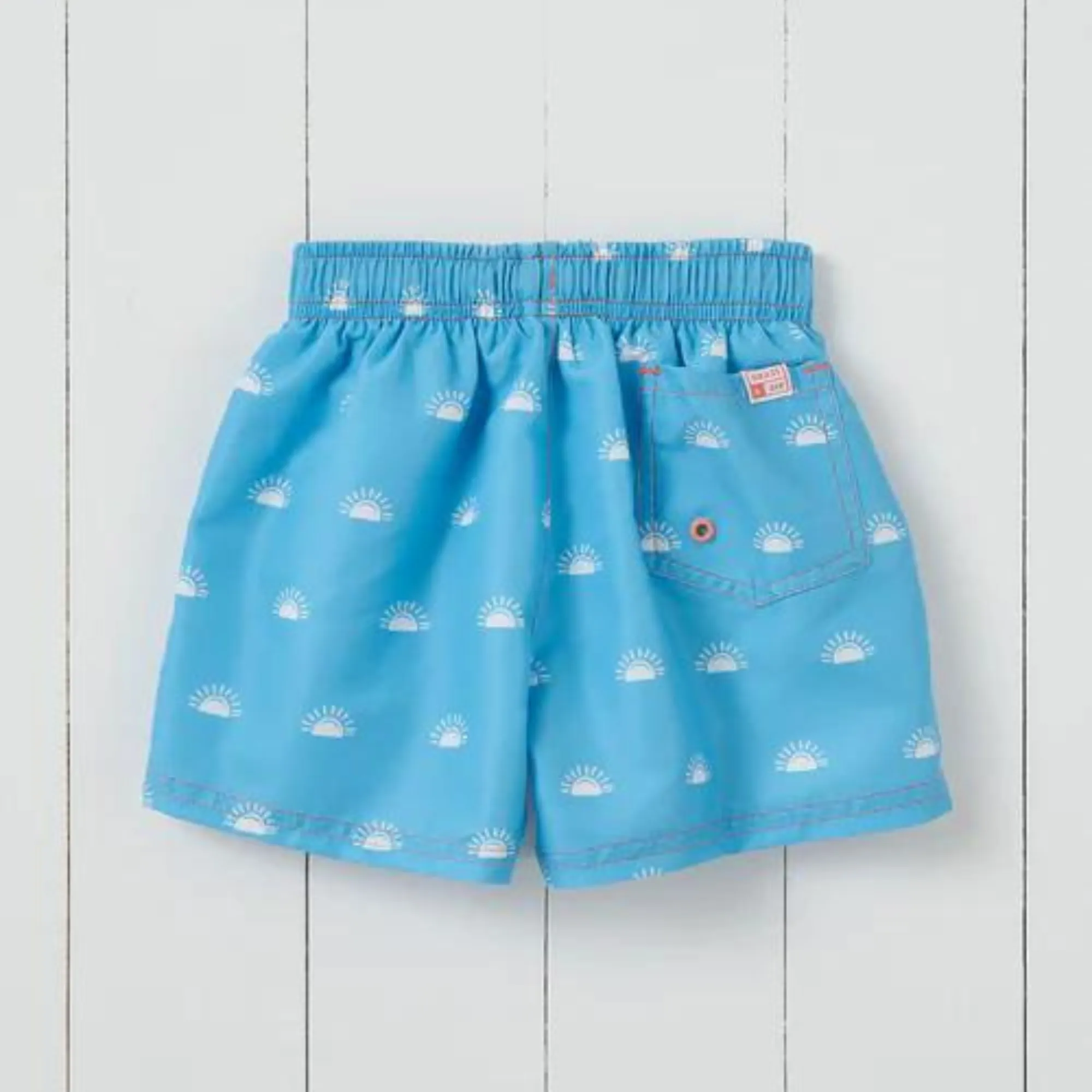 Cornflower Blue Woven Printed Swim Shorts