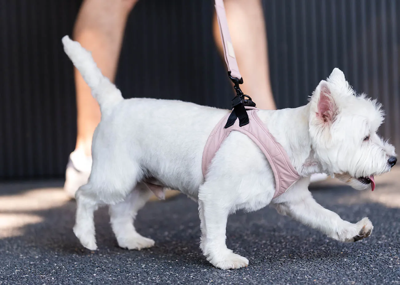 FuzzYard Life Dog Lead - Soft Blush