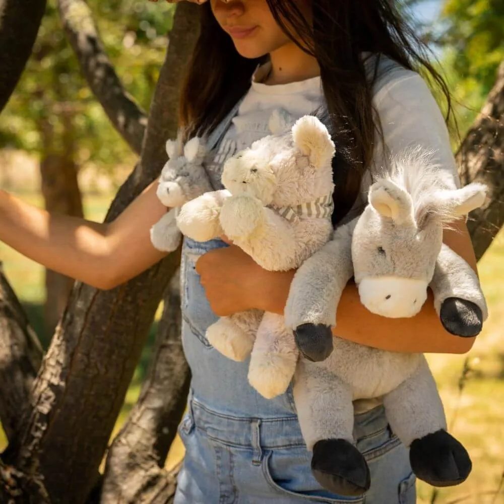 Nana Huchy Diego the Donkey