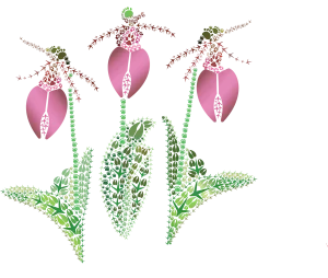 Pink Lady's Slippers Stationery