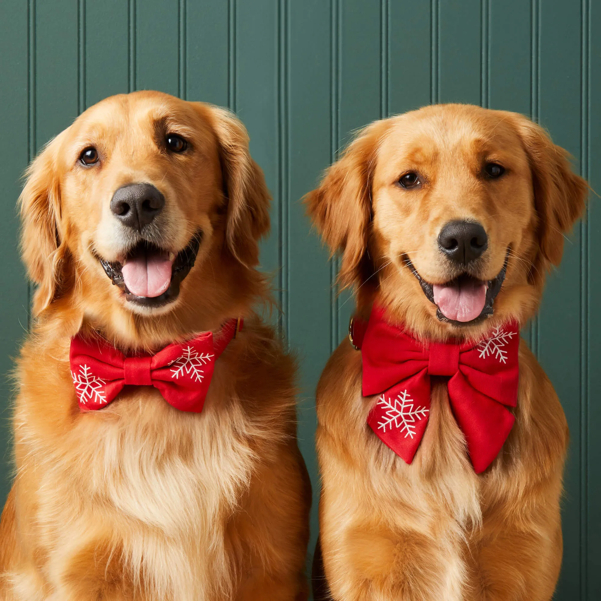 Snowflakes Embroidered Dog Bow Tie