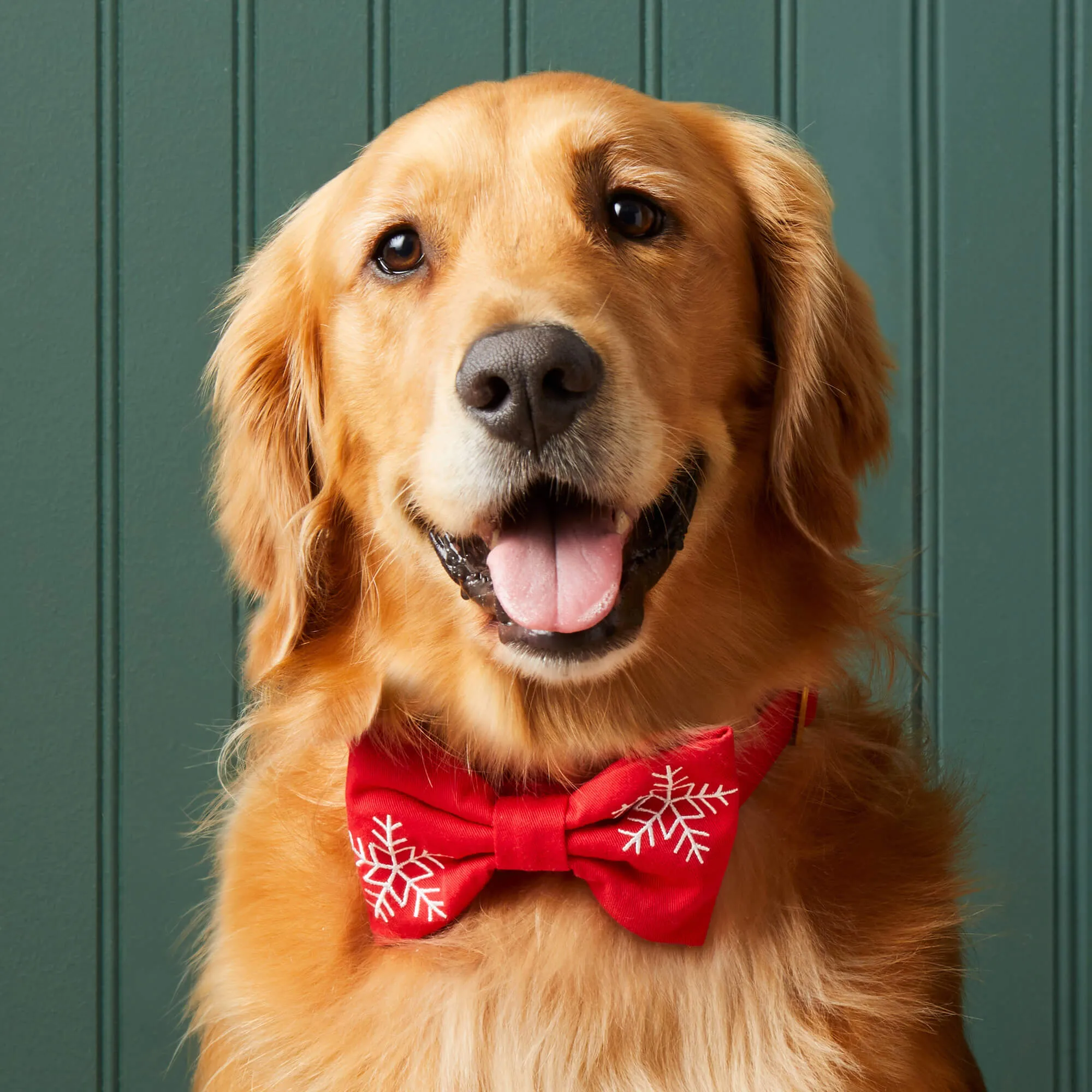 Snowflakes Embroidered Dog Bow Tie