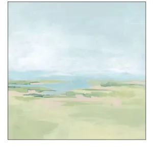 Soft Inlet I