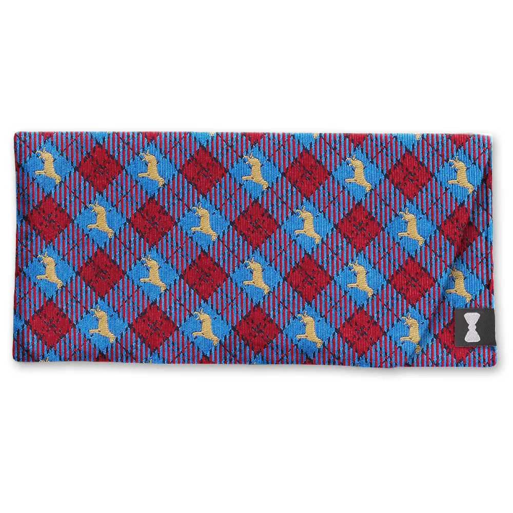 Tweedmouth - Eyeglass Cases
