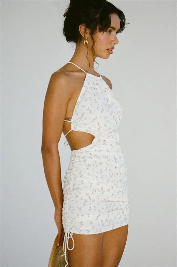 Zani Dress